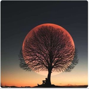 Meet your Posher, Aliyah